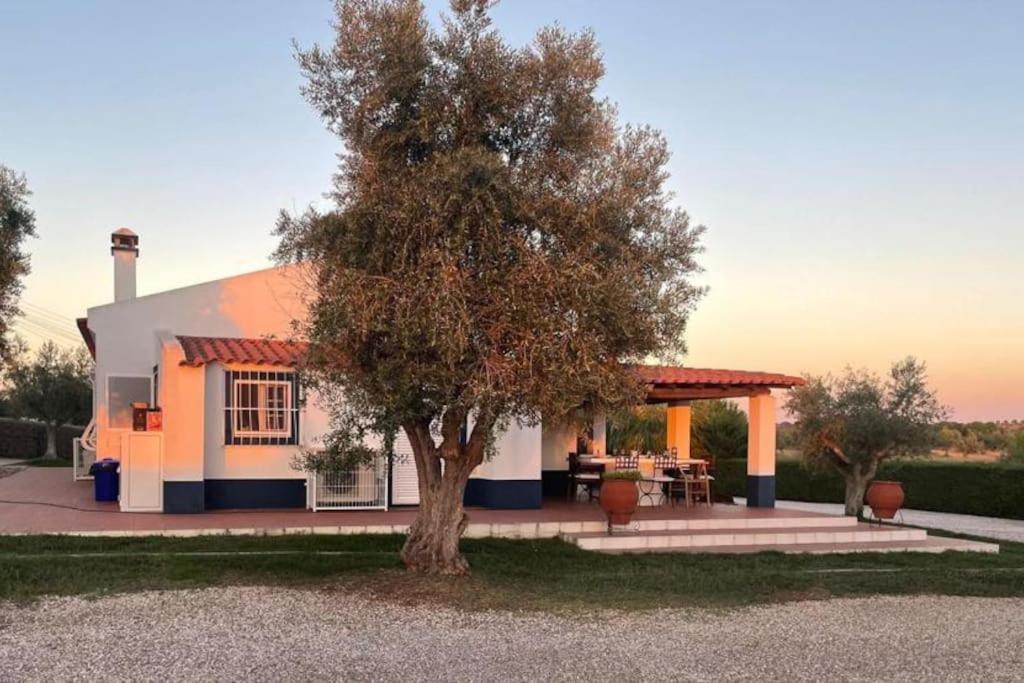 Casa Das Oliveiras Avis Esterno foto
