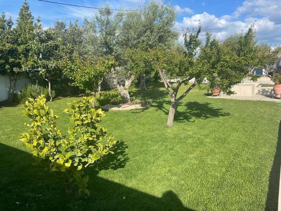 Casa Das Oliveiras Avis Esterno foto