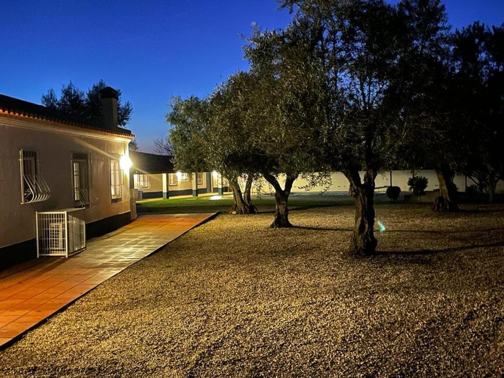 Casa Das Oliveiras Avis Esterno foto