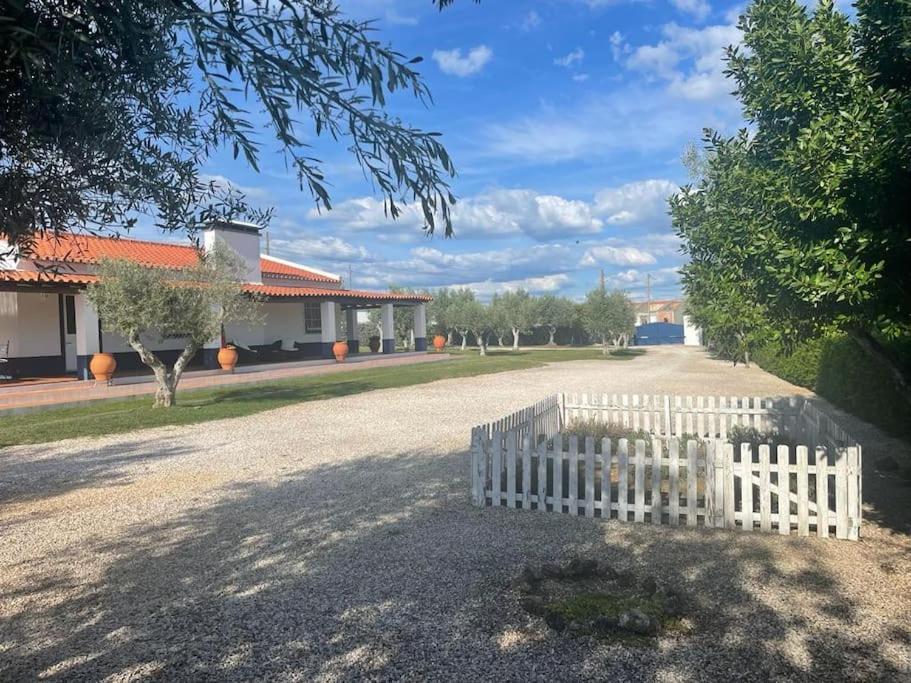 Casa Das Oliveiras Avis Esterno foto