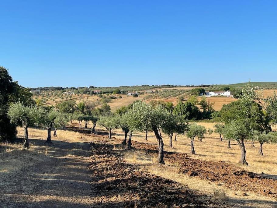 Casa Das Oliveiras Avis Esterno foto